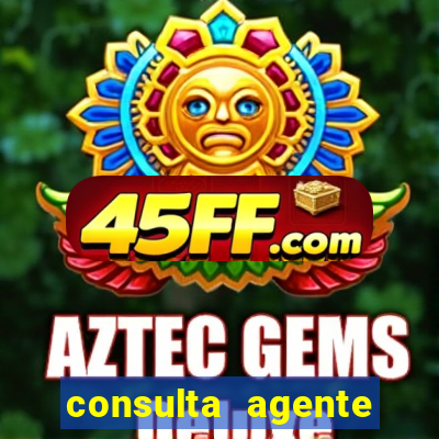 consulta agente autuador sp